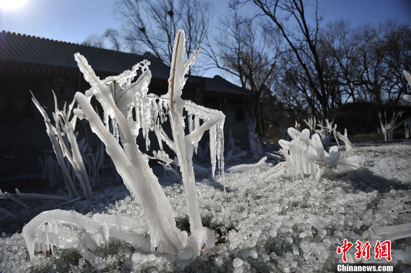 "???? ??????" ???? ?????? ???? ??? ???? ????? ???? ???? ??????? ???????