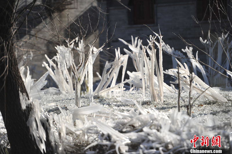 "???? ??????" ???? ?????? ???? ??? ???? ????? ???? ???? ??????? ???????