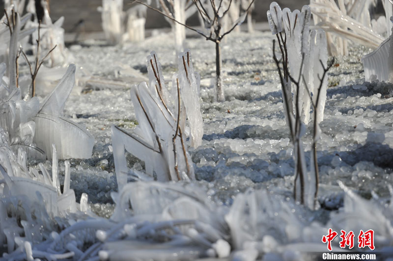 "???? ??????" ???? ?????? ???? ??? ???? ????? ???? ???? ??????? ???????