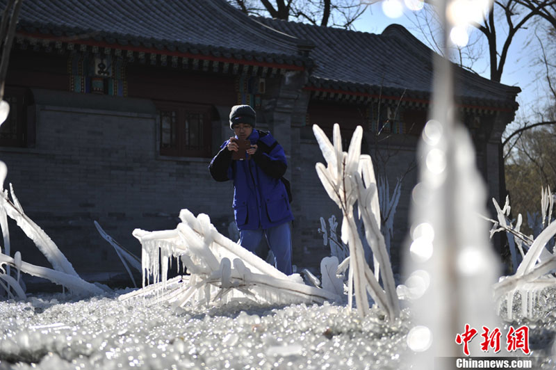 "???? ??????" ???? ?????? ???? ??? ???? ????? ???? ???? ??????? ???????