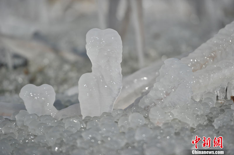 "???? ??????" ???? ?????? ???? ??? ???? ????? ???? ???? ??????? ???????