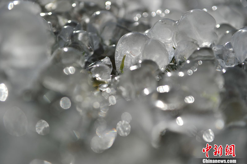 "???? ??????" ???? ?????? ???? ??? ???? ????? ???? ???? ??????? ???????