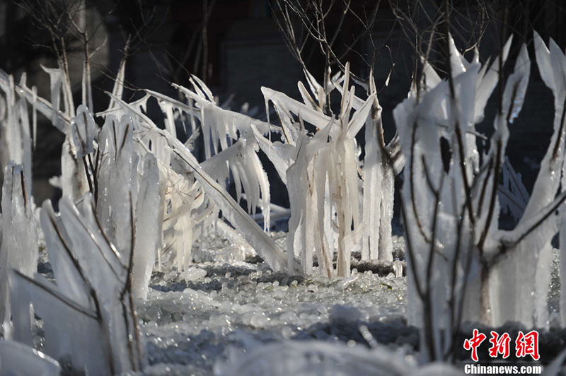 "???? ??????" ???? ?????? ???? ??? ???? ????? ???? ???? ??????? ???????