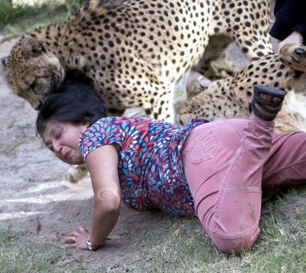 ??????? ??????? ?????? ????????