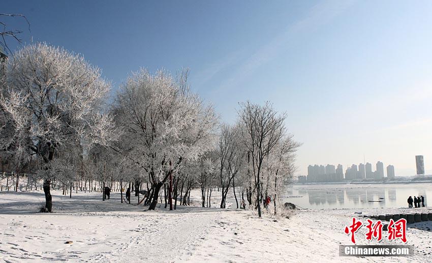 ????? ???..???? ????? ???? ?????? ??  ?????