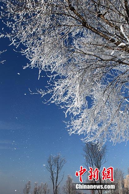 ????? ???..???? ????? ???? ?????? ??  ?????