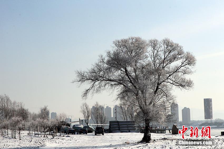 ????? ???..???? ????? ???? ?????? ??  ?????