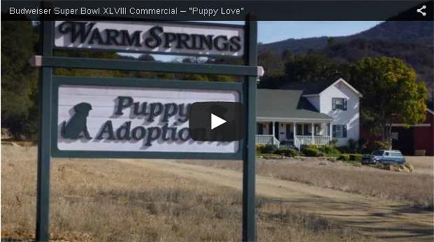 ??????? ?? ?????? ????? ???????? ?"???? ???". 