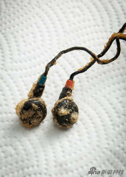 ?????? ??? "???????" ?? ???? ?? ???