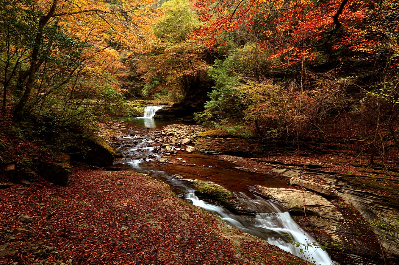 ?? ???? ?????? ???????? ????? ????? ???? ??? ????? ??????? ???????? ??????? ??? ????? 4A