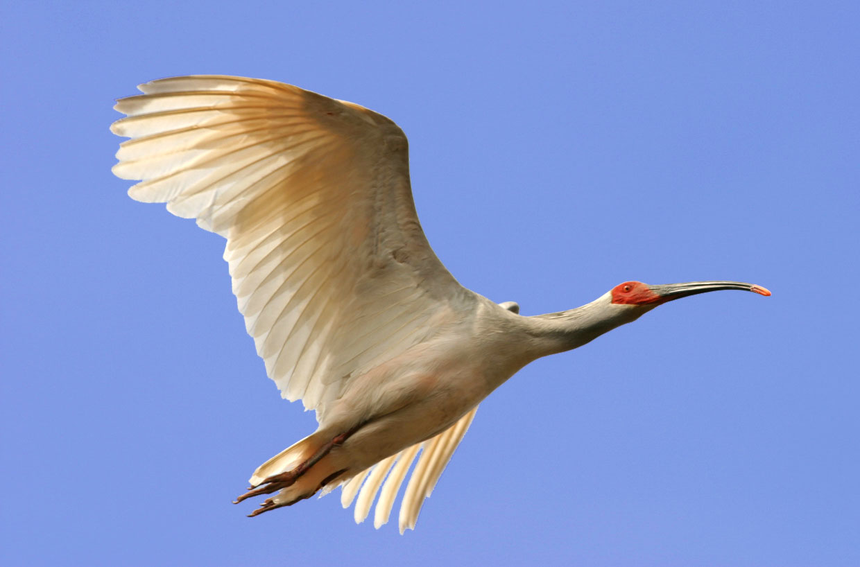 ?? ???? ?????? ???????? ????? ????? ???? ??? ????? ??????? ???????? ??????? ??? ????? 4A