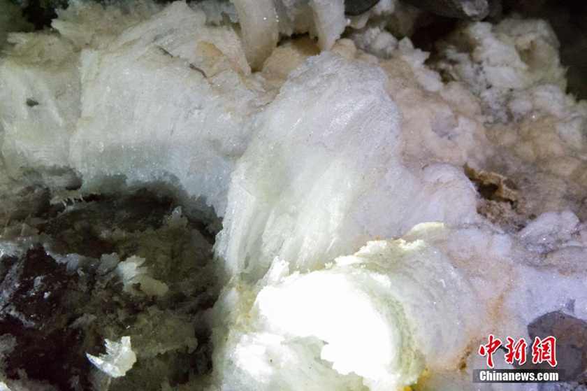 ??? ????? ???? ??? ?????? ?? ?????? ???? 159 ????????