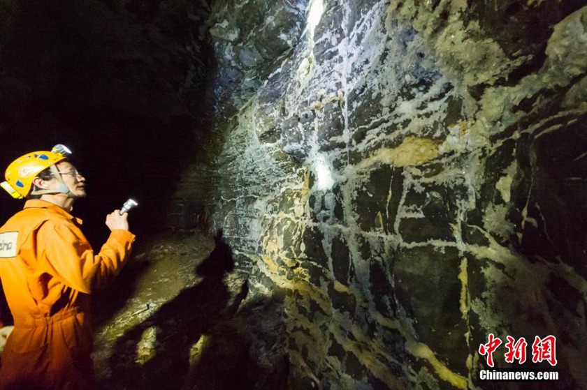 ??? ????? ???? ??? ?????? ?? ?????? ???? 159 ????????