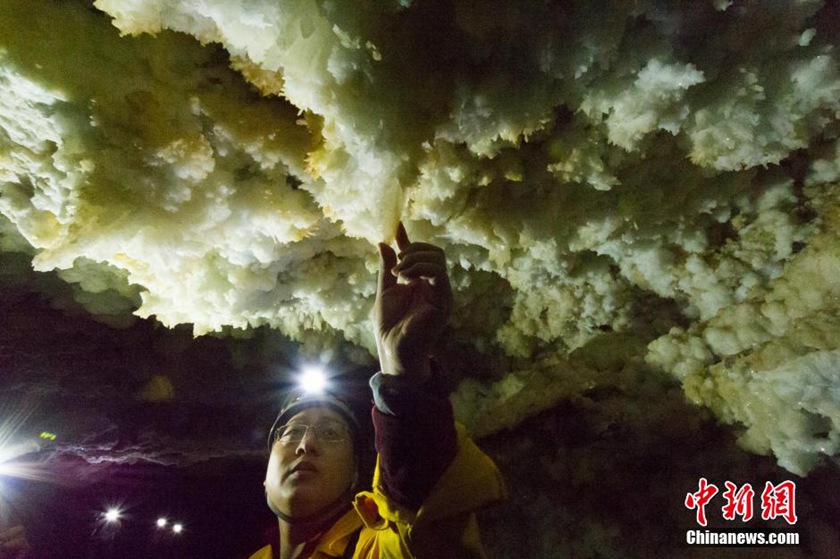 ??? ????? ???? ??? ?????? ?? ?????? ???? 159 ????????