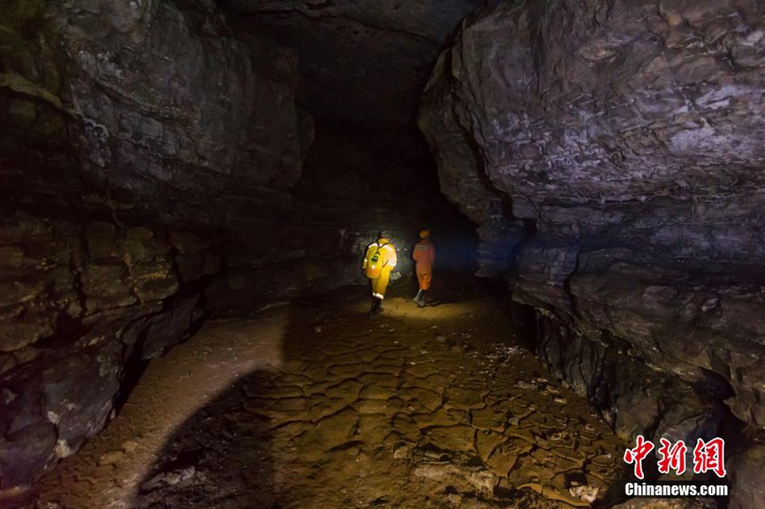 ??? ????? ???? ??? ?????? ?? ?????? ???? 159 ????????