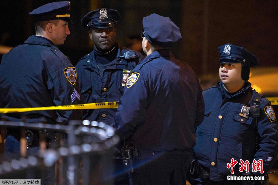 ???? ?????? ?? ???????