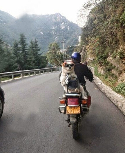 ??????.. ????? ????? ???