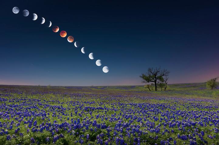 ???? 37 ???? ?? ?????? ???? ??? 2014