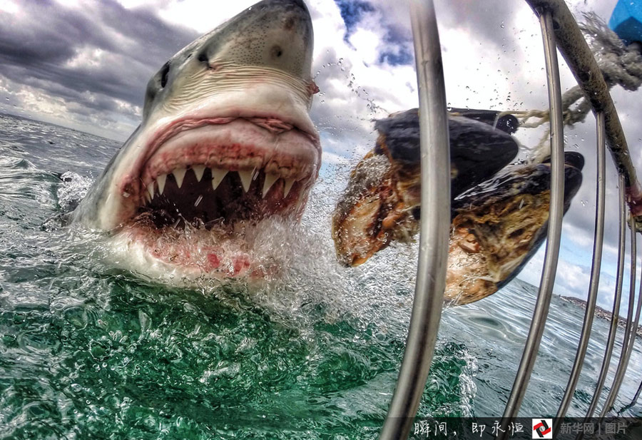 ???? ????????? ???? ????? ?? ??? 2014