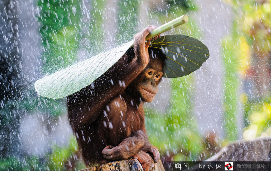 ???? ????????? ???? ????? ?? ??? 2014