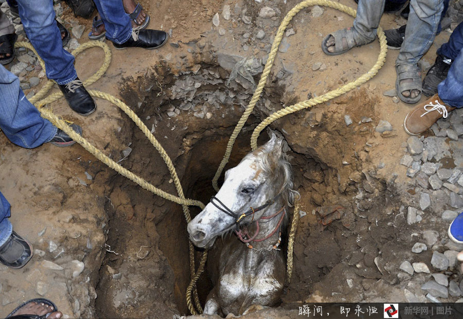 ???? ????????? ???? ????? ?? ??? 2014