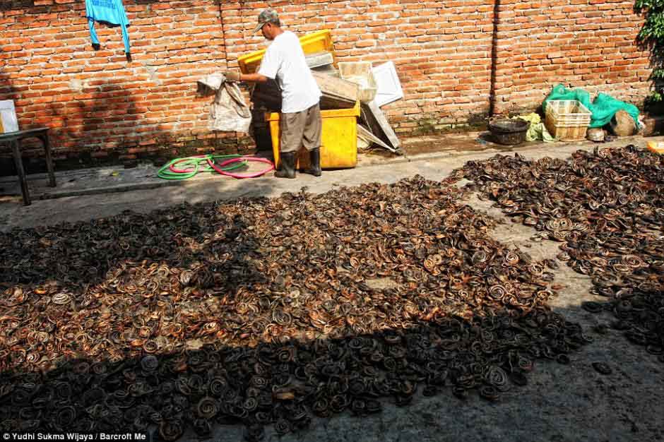 ??? ????? ???? ???? ??????? ??????? ?? ???? ???????? ??????????