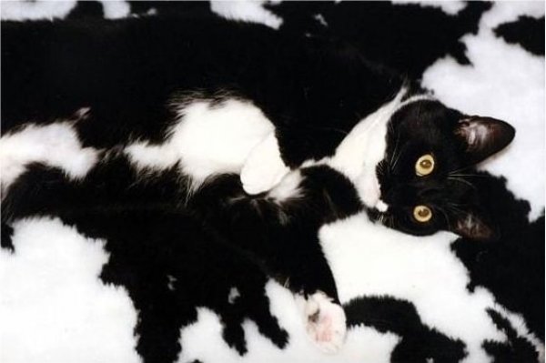 ?? "????????" ?????? ?????????