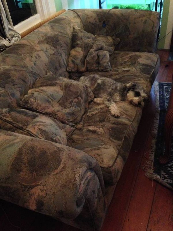 ?? "????????" ?????? ?????????