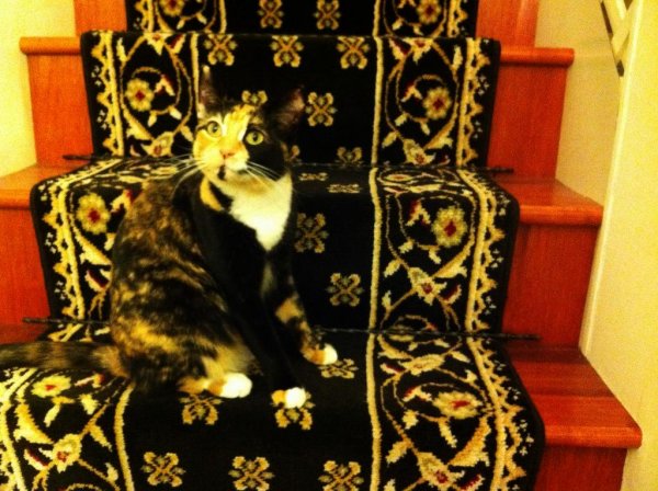 ?? "????????" ?????? ?????????