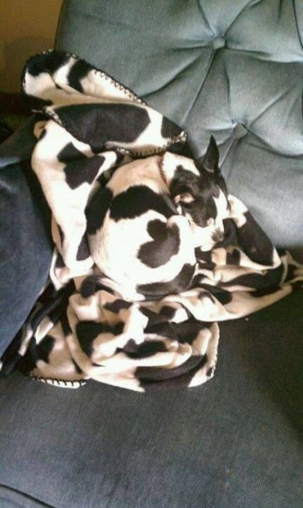 ?? "????????" ?????? ?????????