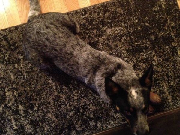 ?? "????????" ?????? ?????????