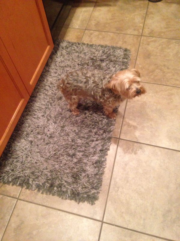 ?? "????????" ?????? ?????????