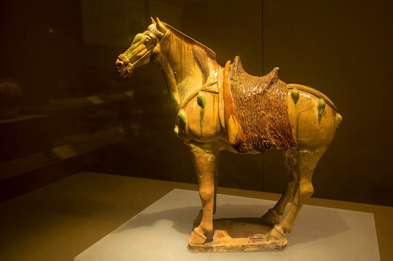 ???? ???? ?????? ?????????