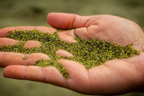 ???? ???? ????? ?????? ????? ?????? 