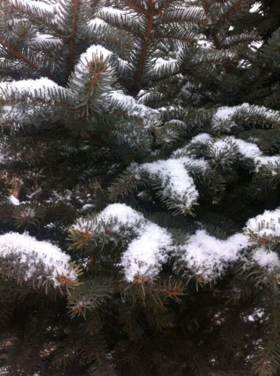 ??????? ??????? ???? ??? ????? ?????? ??? ??????