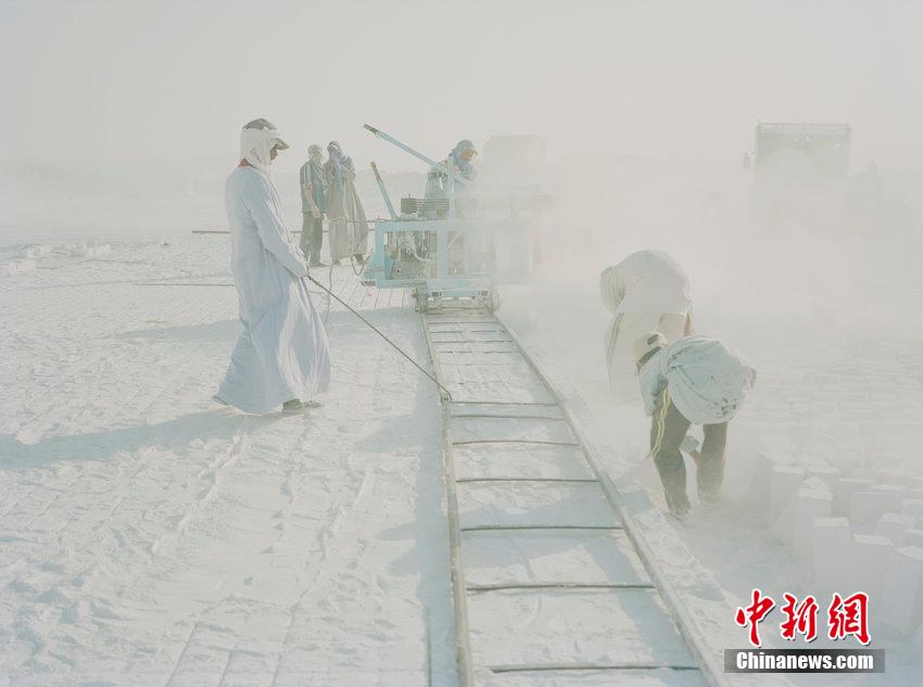 ???? ????? ????? ??? ???? ?? ??? 