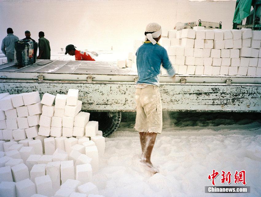 ???? ????? ????? ??? ???? ?? ??? 