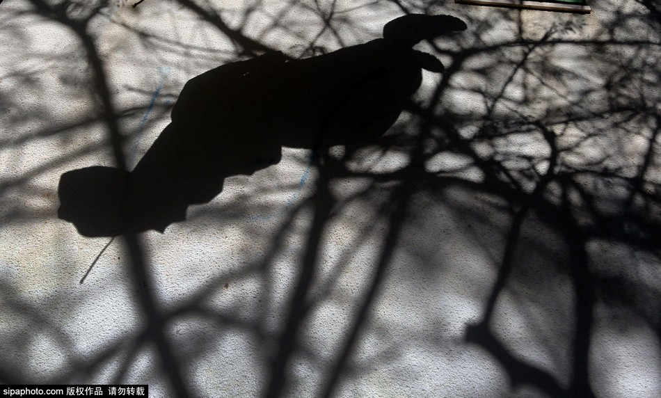 ???:????? ????? ?????? ??????????? ?? ??????