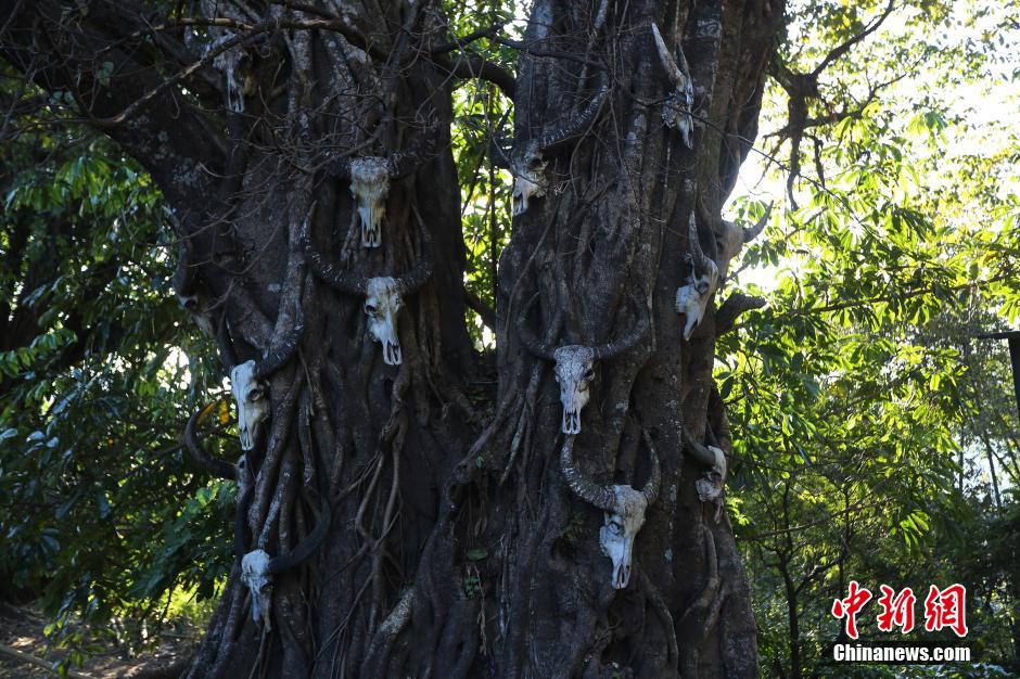 ?????? ??? ????? ?????? ?? ?????