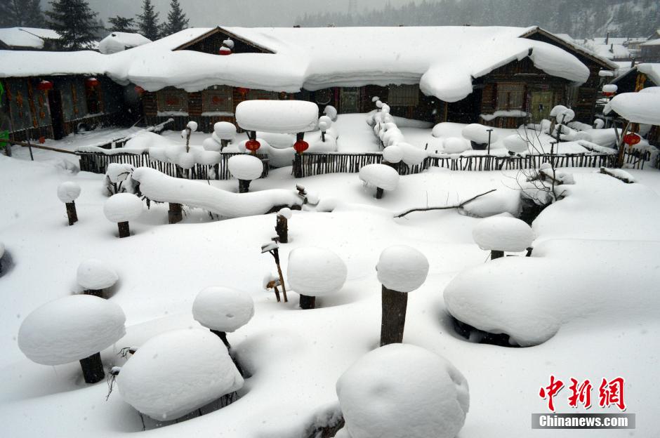 ????? ?????? ???? ????? ????? ?? ???? ???? ????? ?????