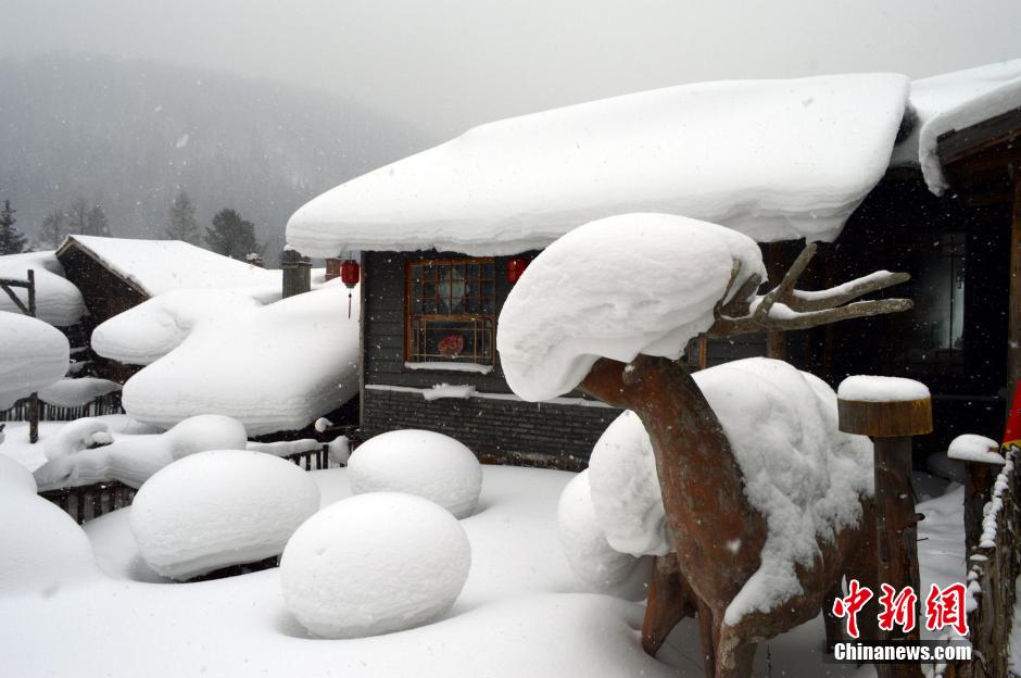 ????? ?????? ???? ????? ????? ?? ???? ???? ????? ?????