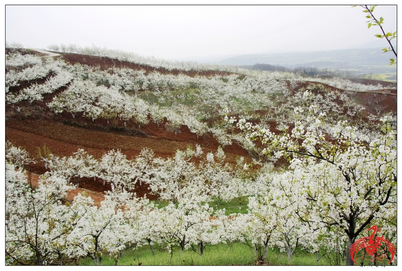 ????? ???? ??? ???? ???????? ?? ?????? ???? ???? ???? ????? ??? ??????? ??????4A