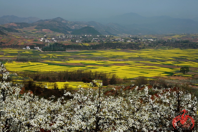 ????? ???? ??? ???? ???????? ?? ?????? ???? ???? ???? ????? ??? ??????? ??????4A