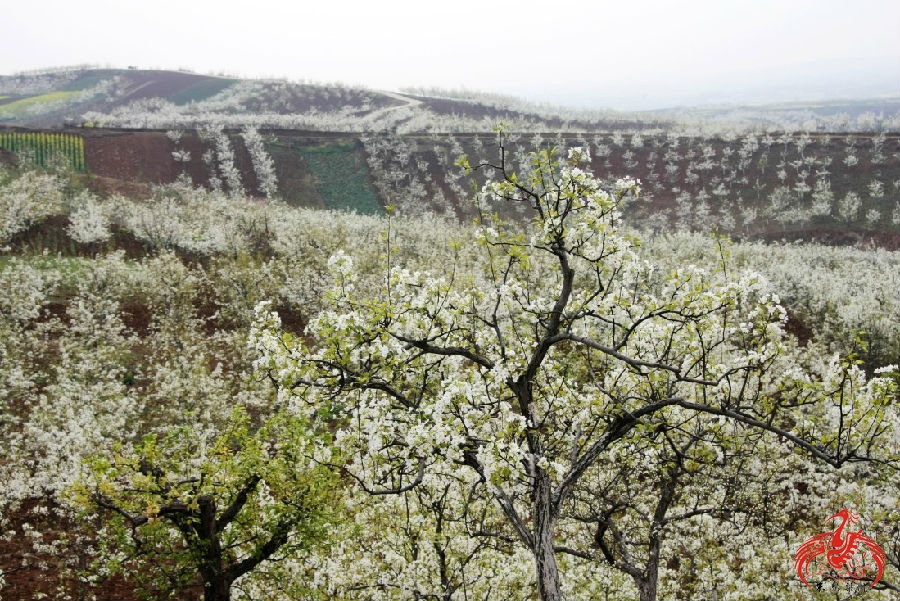 ????? ???? ??? ???? ???????? ?? ?????? ???? ???? ???? ????? ??? ??????? ??????4A