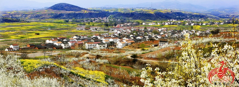 ????? ???? ??? ???? ???????? ?? ?????? ???? ???? ???? ????? ??? ??????? ??????4A