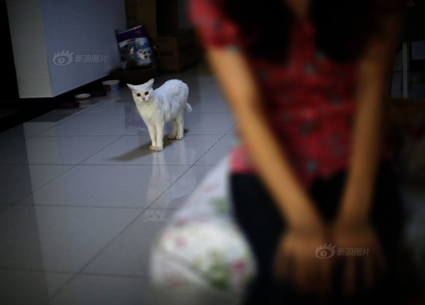 21 ????? 2014? ????? ?? ??? ????? ????? ???? ????? ?????. ???? ?? ???? ?? ?? ????? ?? ???? ????? ??? ?????? ???? ??? ?????? ???? ???? ????. 