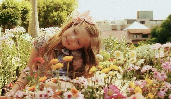 ?????? ????? ?????? ??????? ?? ??????