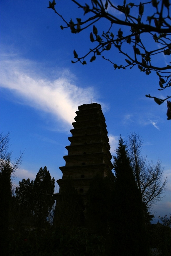 ?????? ?????? ????? ?? ???? ????? ??