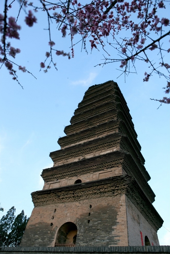 ?????? ?????? ????? ?? ???? ????? ??