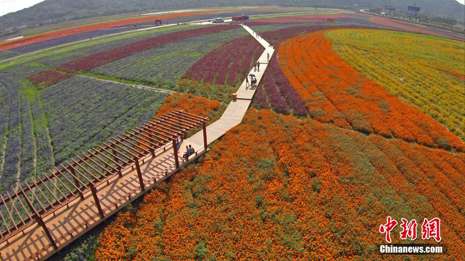 "???? ??????" ???? ??? ??????? ?? ??? ??????